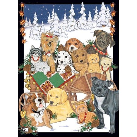 Pipsqueak Productions Mix Dog With Cat Holiday Boxed Cards C515